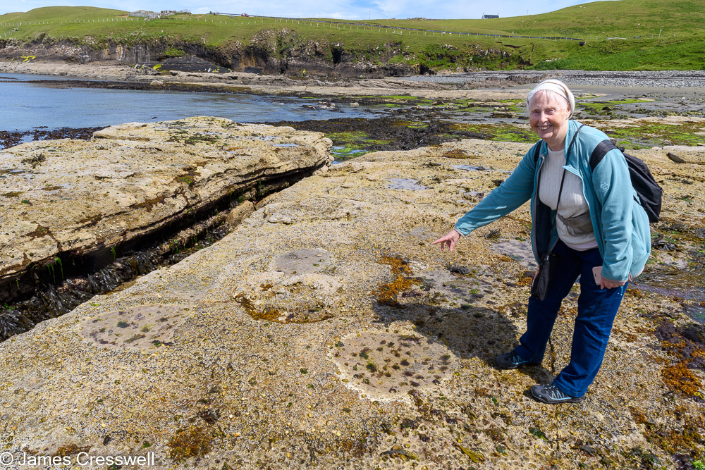 A woman points to dinosaur tracks on a rocky beach