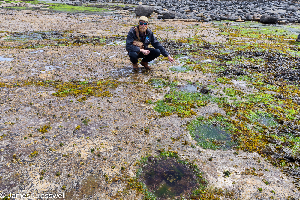 A man, James Cresswell, points to dinsaur tracks at Duntulm, Isle of Skye