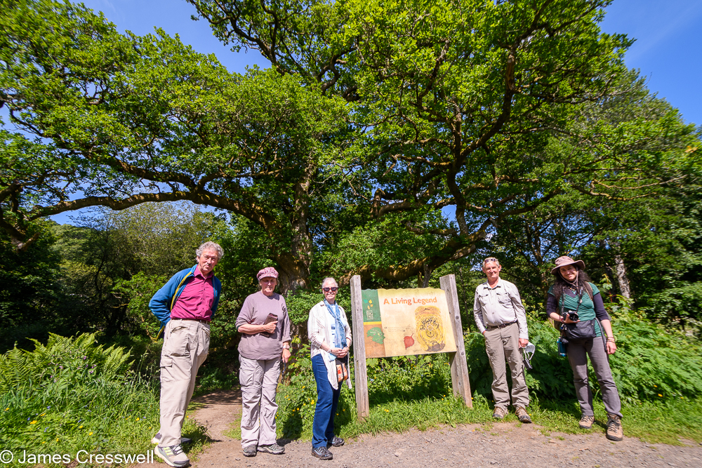Five people stand next to a sign board in front of a large tree