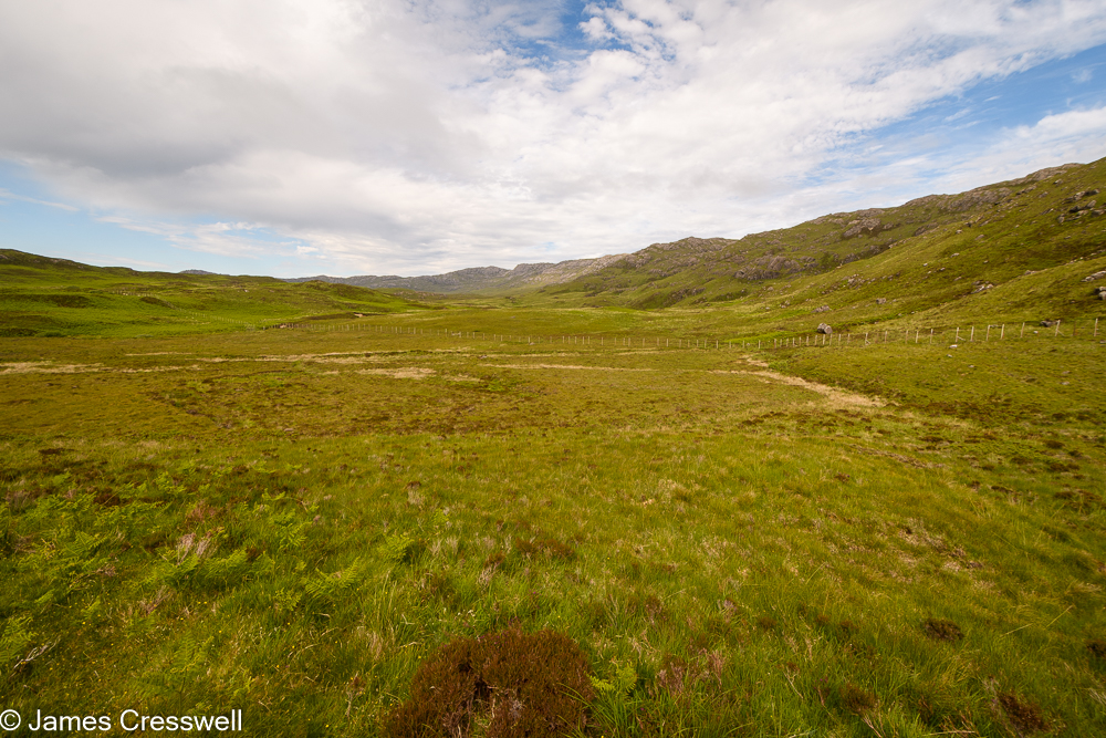 Moorland with a ridge of gabrro rock