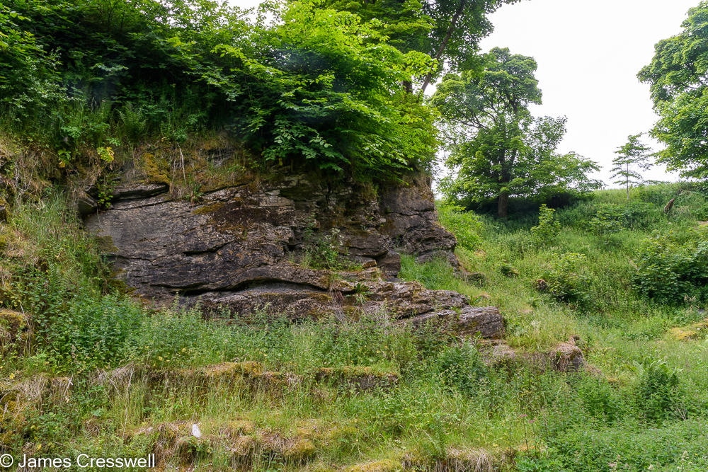 A small cliff in a quarry