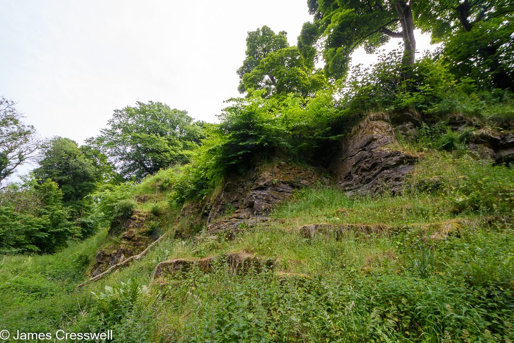 A small cliff in a quarry