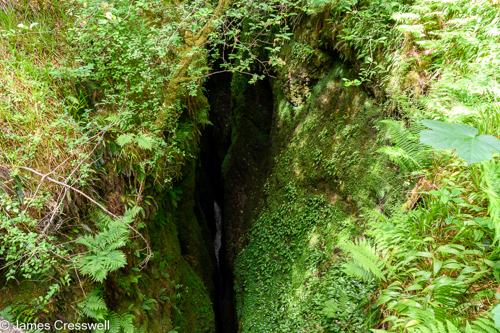 Looking down to a stream at the base of a narrow gorge that is coated in green vegetation