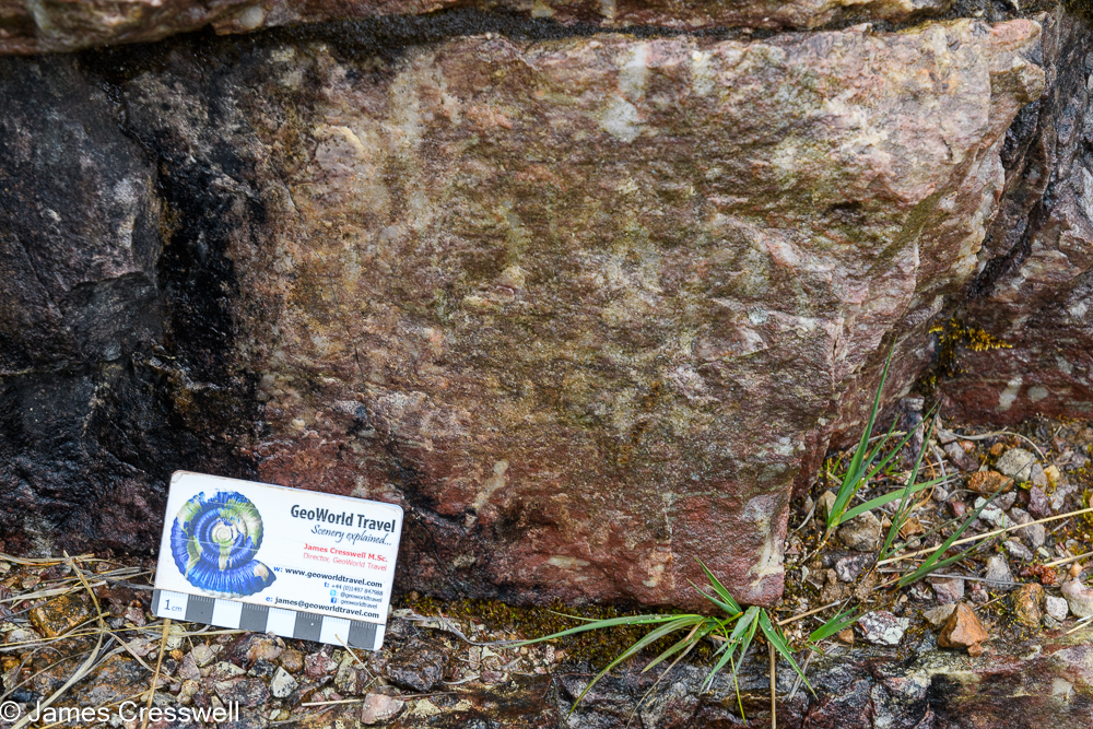 A scale card in front an outcrop of pink rock which contains white pipe like structures