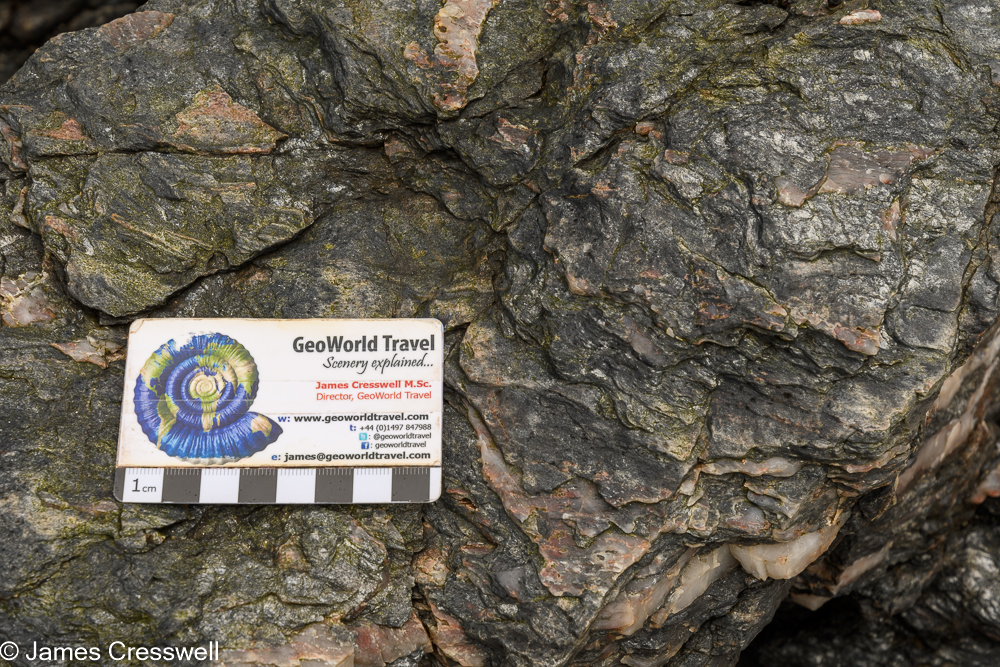 A scale card on top of a rock outcrop that has the texture of Oyster Shell