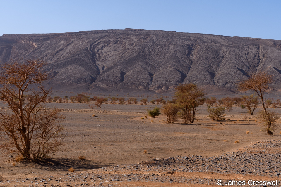 Devonian strata resembling shark teeth near Fezzou