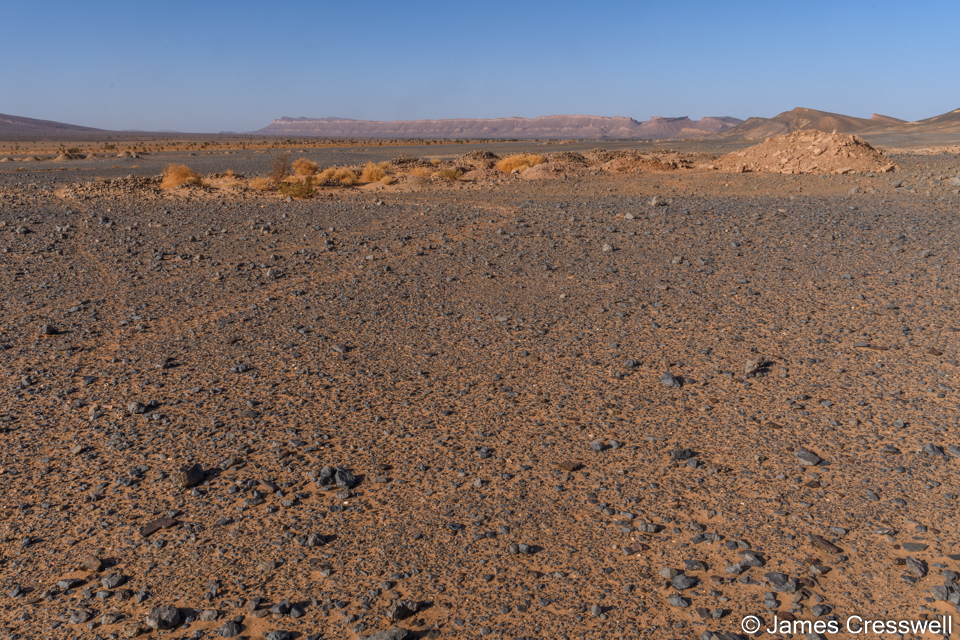 Atchana a site of mid Devonian trilobite diggings