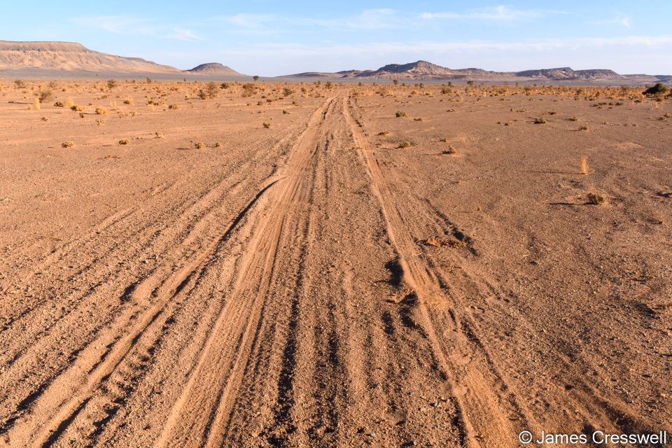 The road to the Mherch oasis
