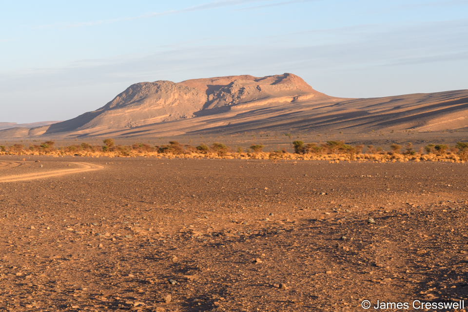 A large Eifelian aged mud mound that was form by biota living around a seep of hot fluids. It is from this site that the huge trilobite Drotops megalomanicus is quarried.