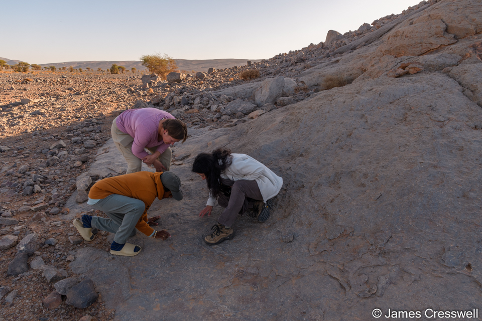 Caitlin, Sita & Sophie examining crinoid fossils at Guelb el Mharch