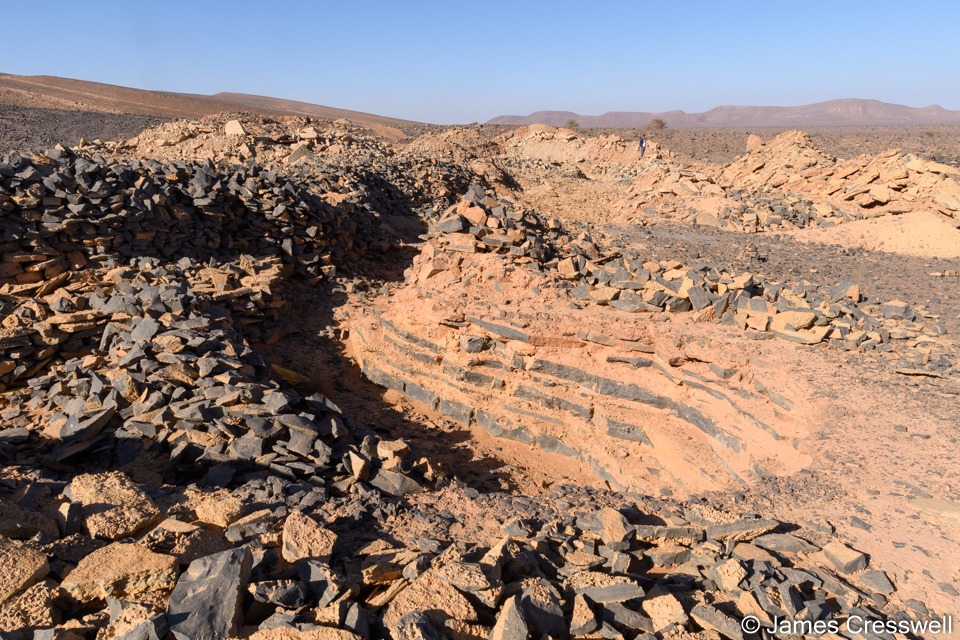 Trilobite diggings at Jbel el Mrakib mud mound