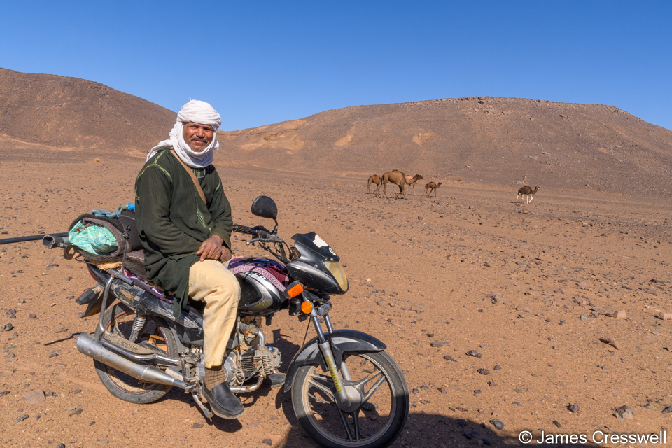 A Berber moving his camels by motorcycle.