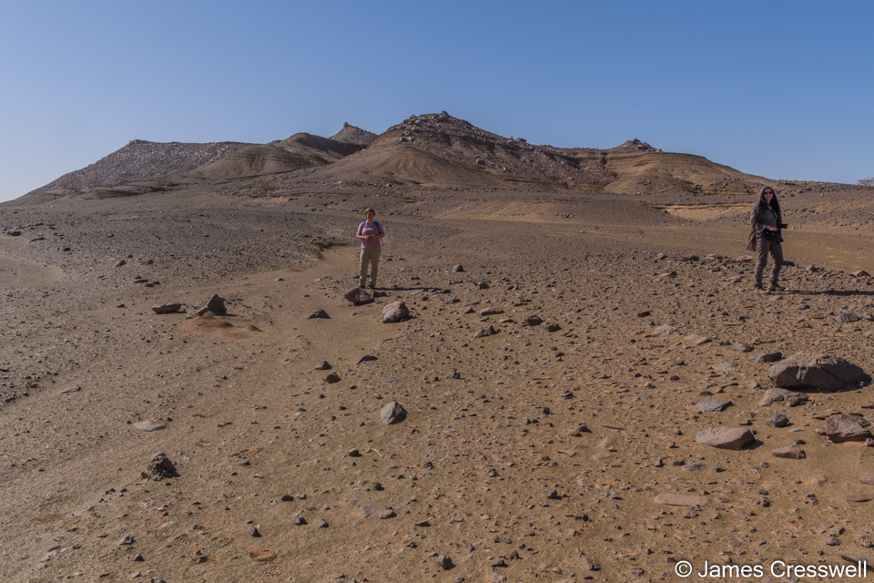 Examining fossils on the desert floor at El Krabis