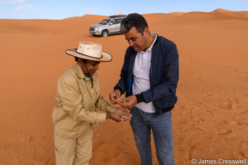 The Erg Chebbi dunes and we were examining fugerite, which is formed when lighting strikes the sand and melts it into glass.