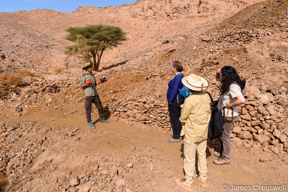 At the Filon 12 mineral mine where we were given a guided tour by Moha