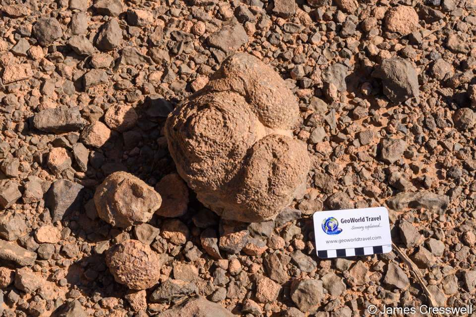 Fossil coral at the Kes Kes