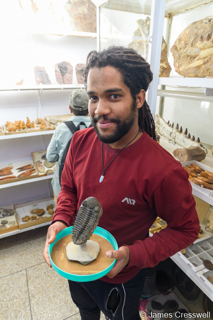 Erfoud Museum where we saw some amazing Drotops trilobites that had been completely removed from their rock matrix