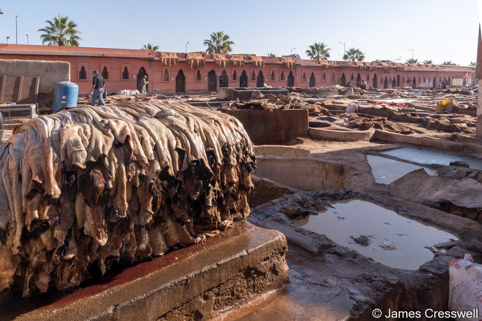 The leather tannery, Marrakech