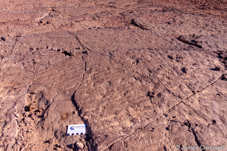 Edicarian aged ripples near Ouarzazate