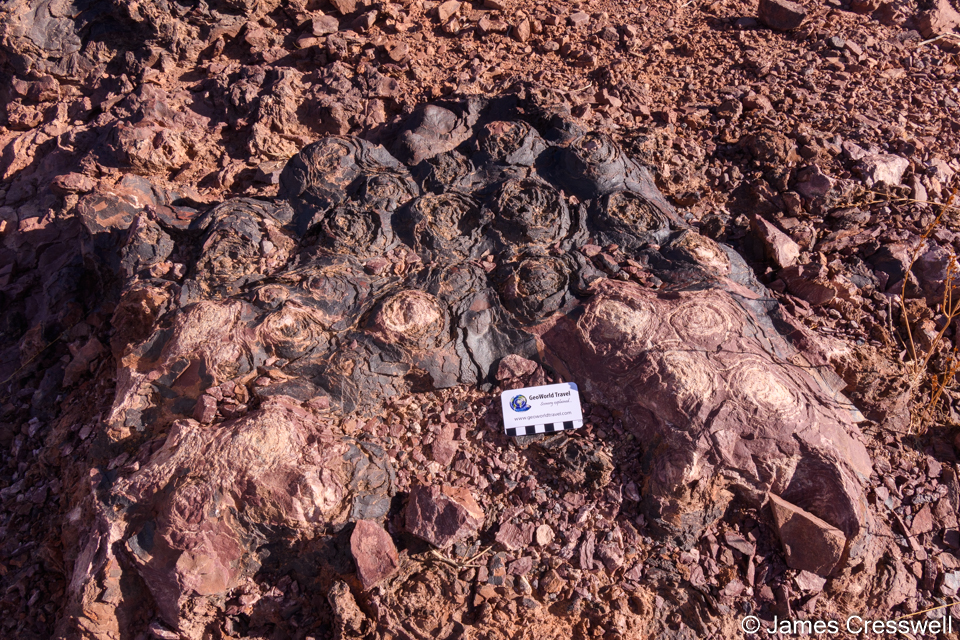 Edicarian aged stromatolites near Ouarzazate