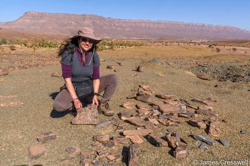Sophie with some pieces of loer Ordovician trilobites in the Draa Valley
