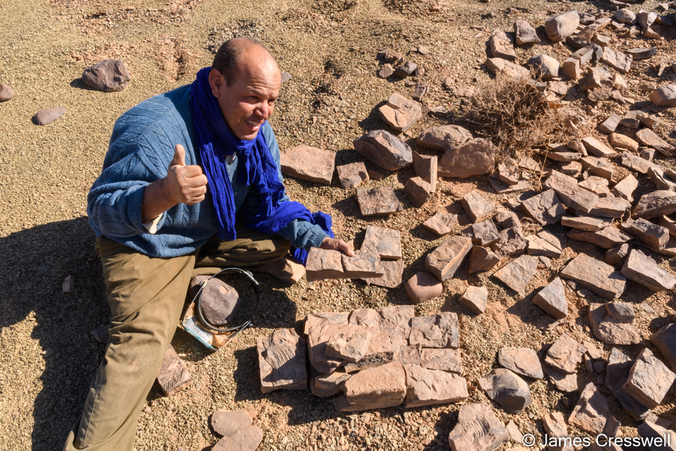 A fossil miner with lower Ordovician giant trilobites in the Draa Valley