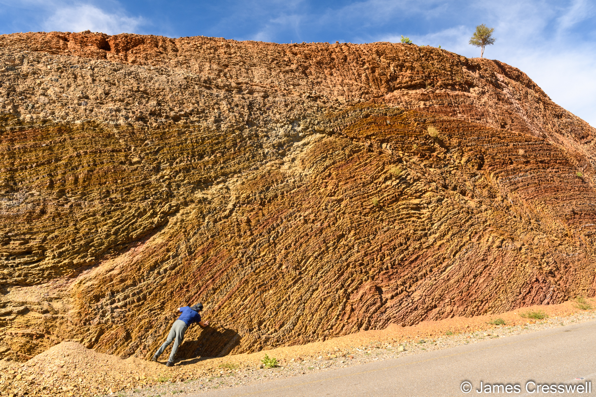 Folded Hawasina nappe sediments in a road cut
