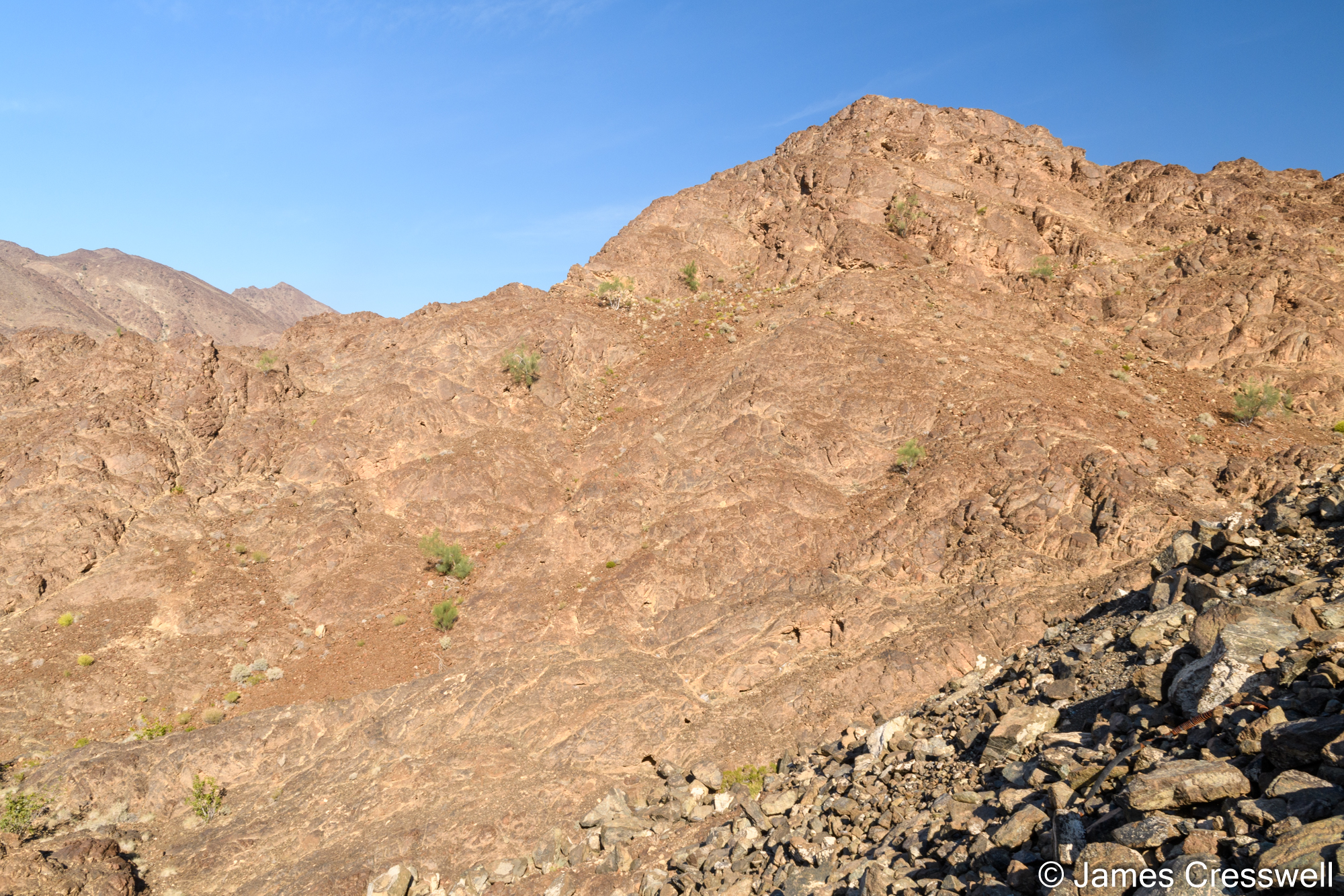 Peridotites of the mantle