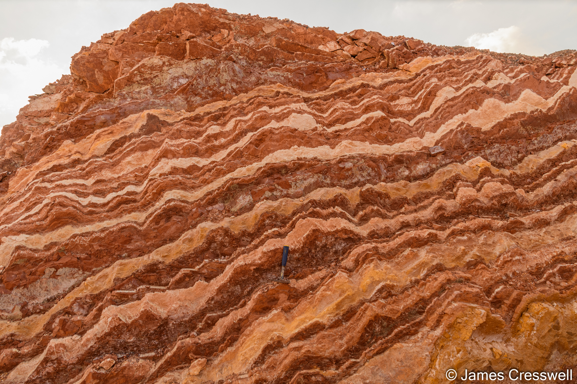 Radiolarian chert and porcellanite