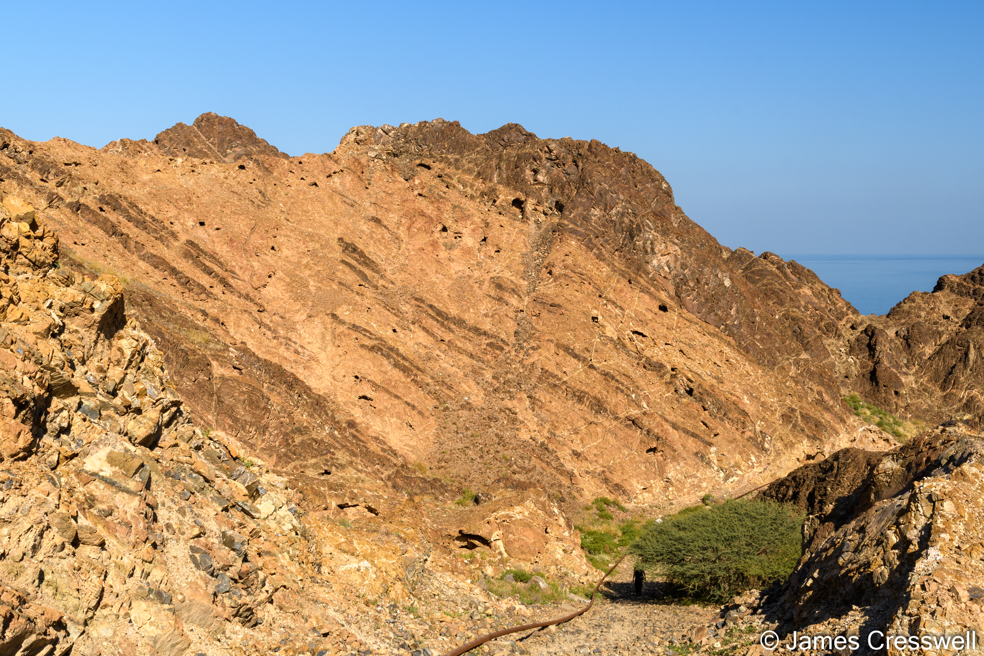 Light coloured bands of dunite with darker bands of harzburgite