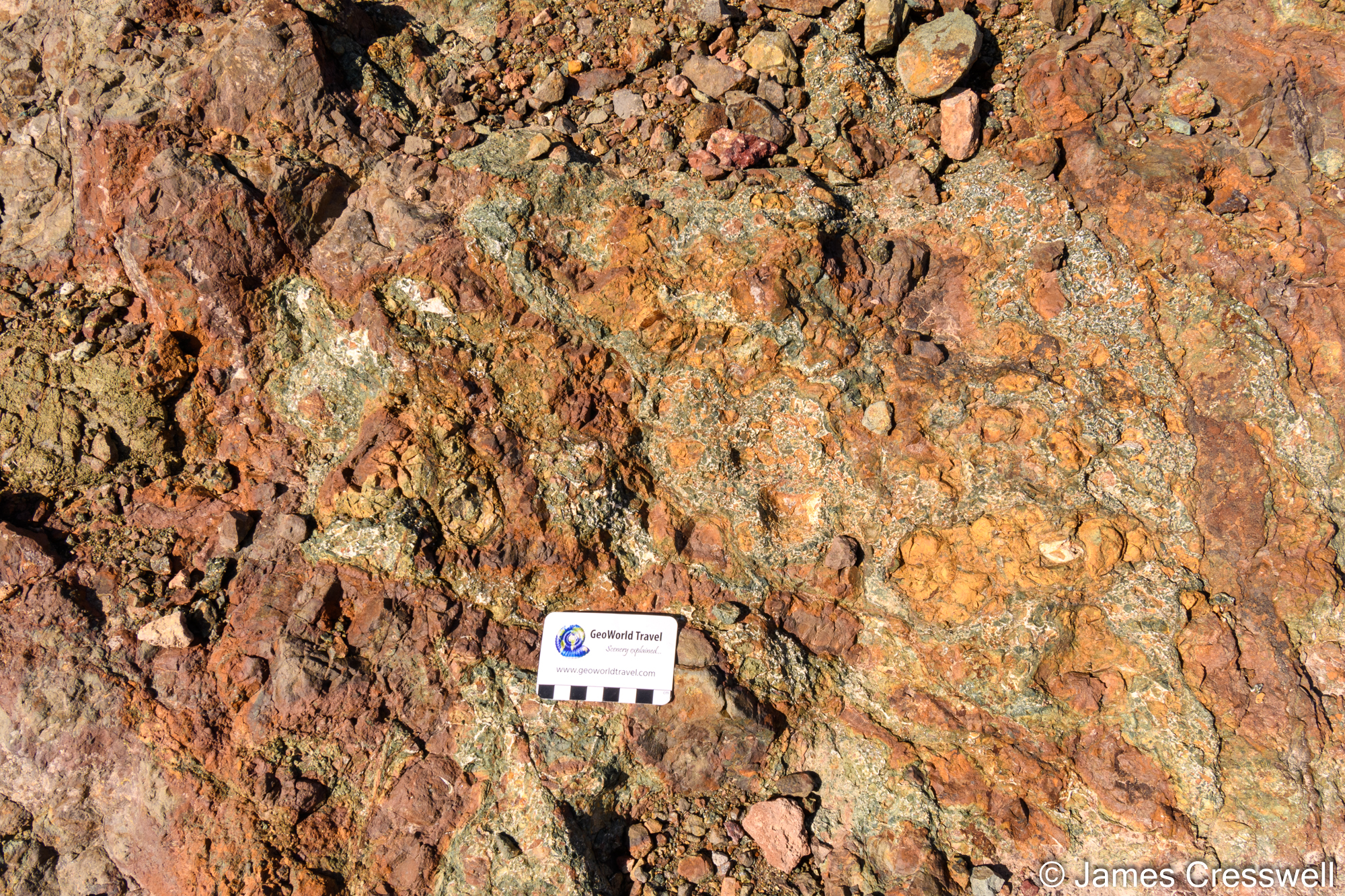 Tube-like structures where acidic fluids forced their way through the rocks of the black smoker.