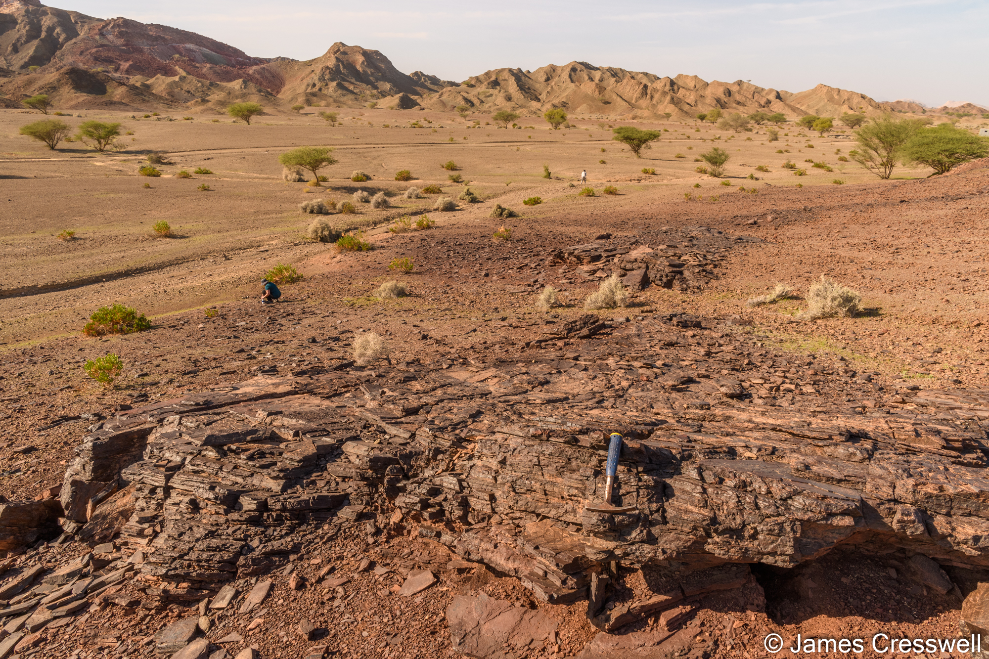 Metal rich umber sediments