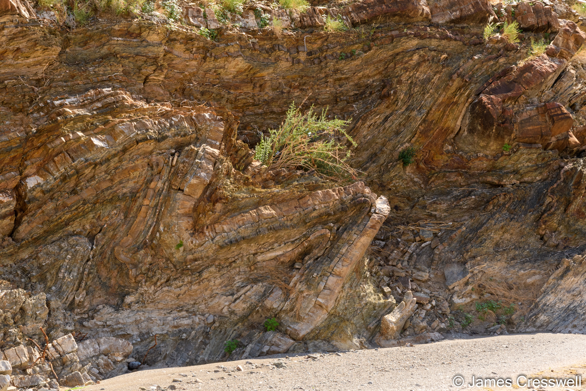 Folded turbidites.