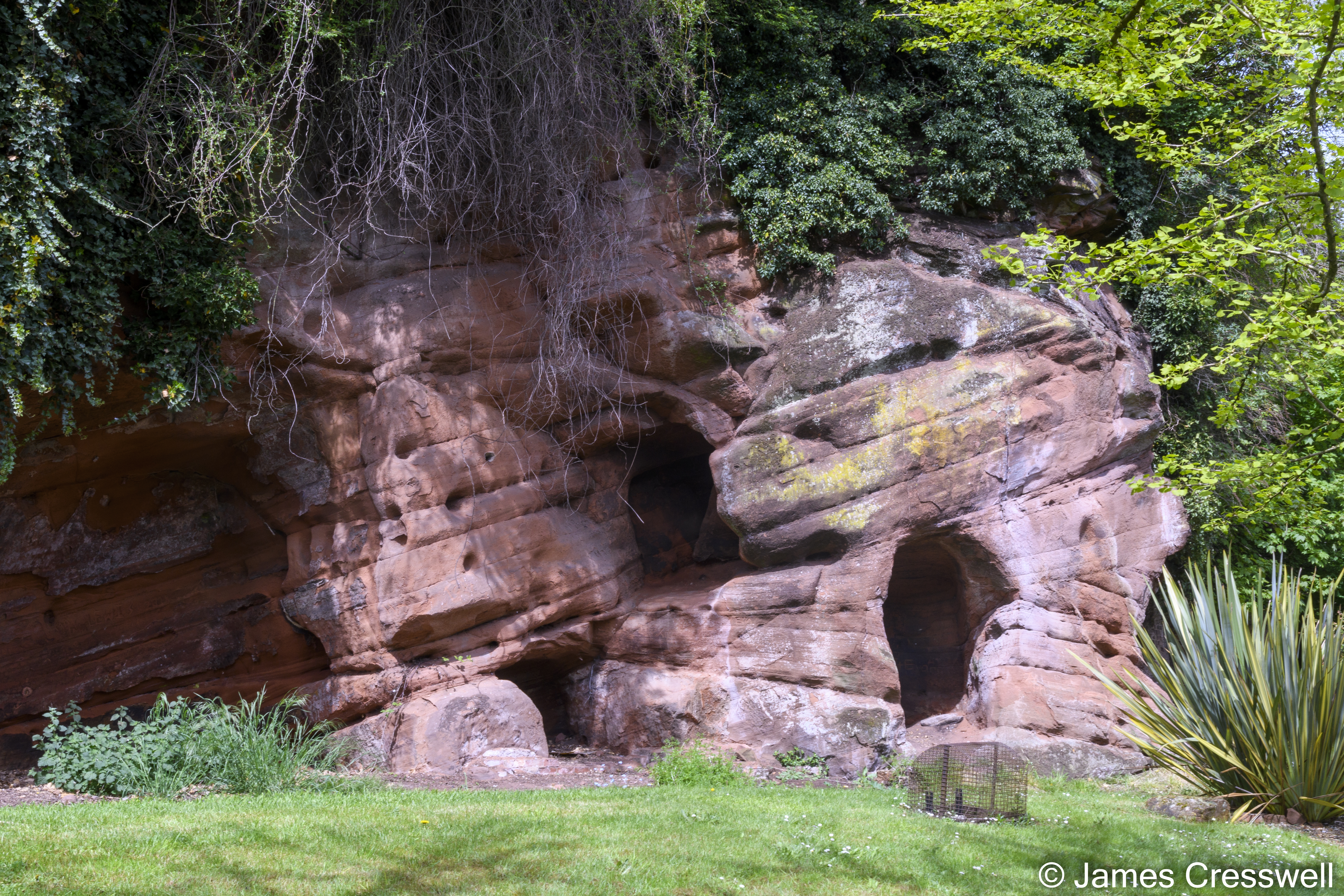 A rock outcrop with caves