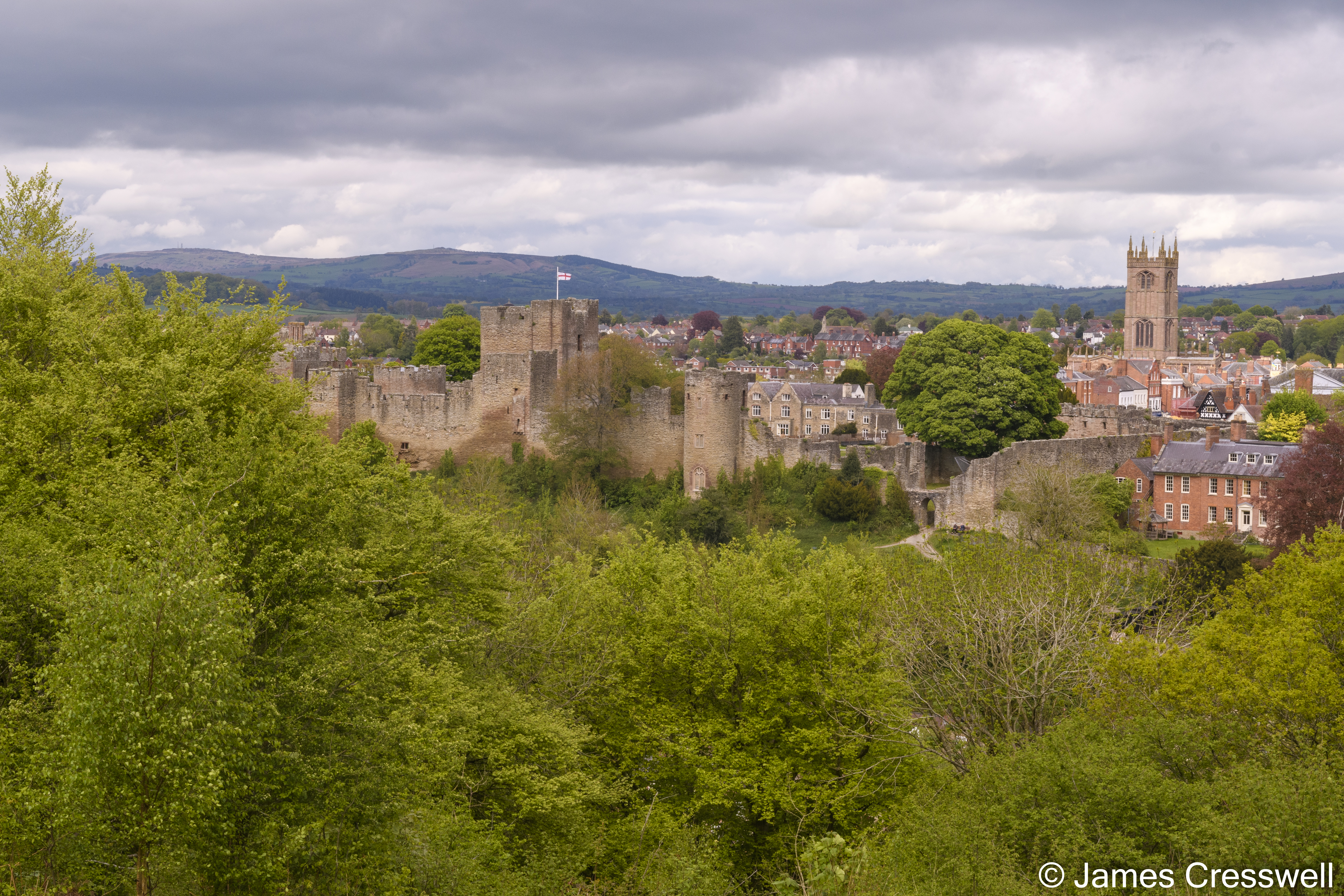 View of a castle with a town in the background