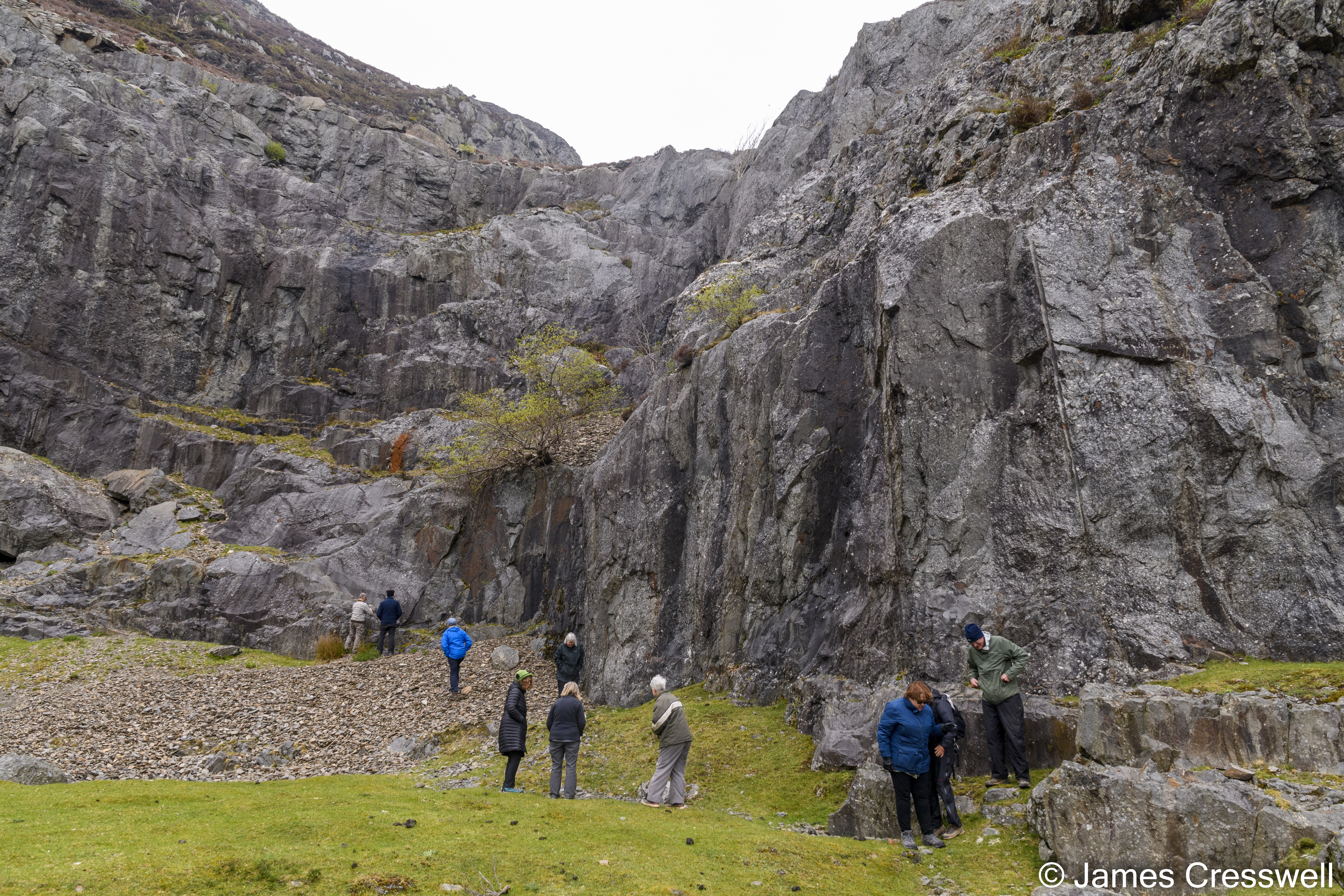 A quarried rock face