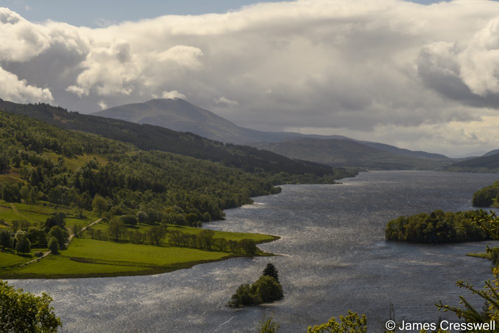 View of a lake and a mountain