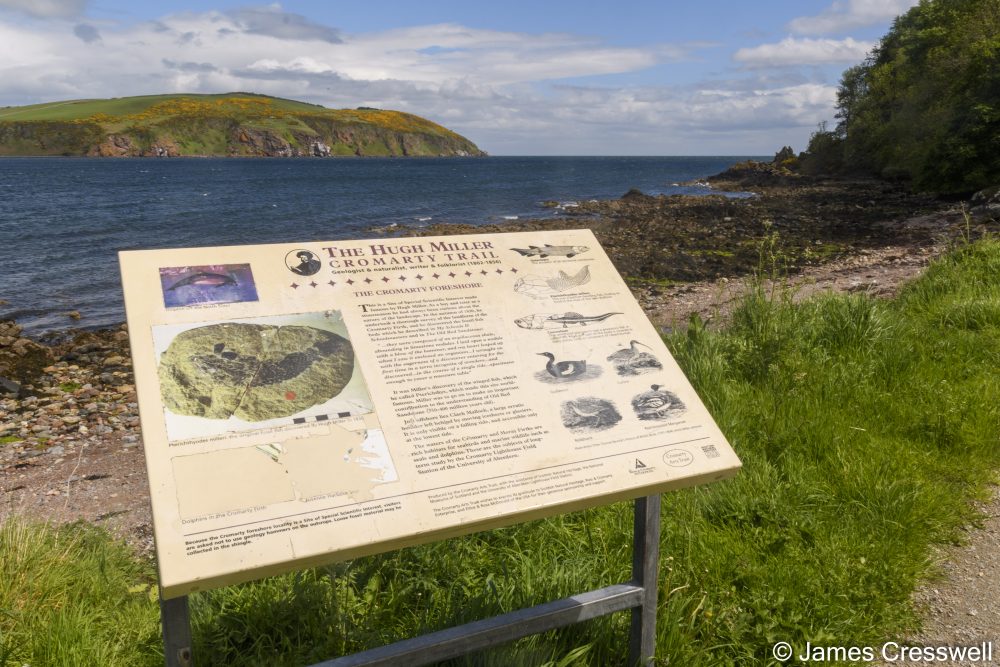 An information board next to a beach and the sea