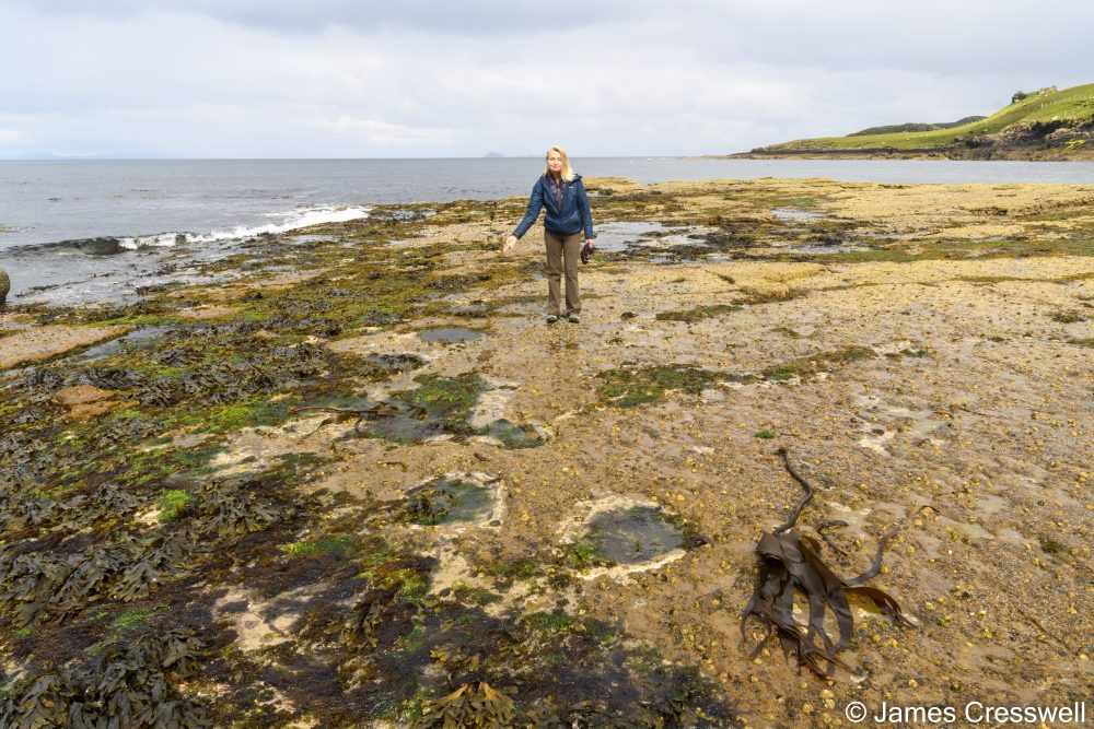 Woman on beach pointing to dinosaur trackway in rock