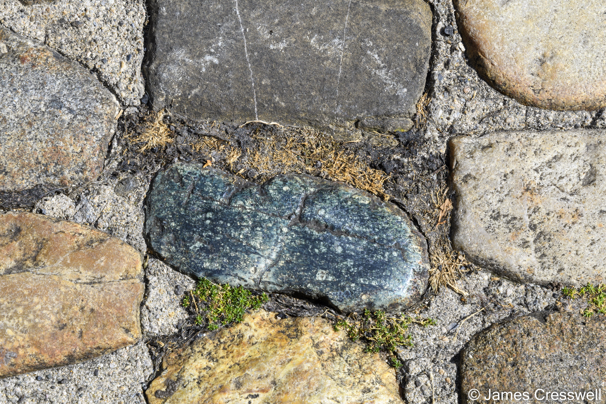 Close up of a cobble in a pavement