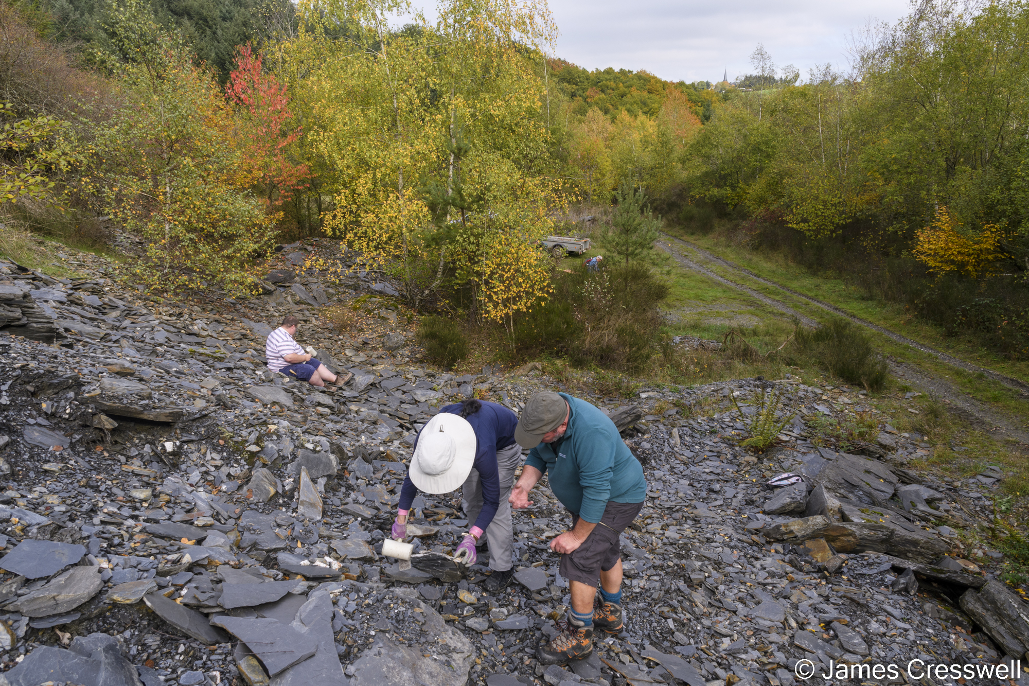 People searching for fossils in a quarry