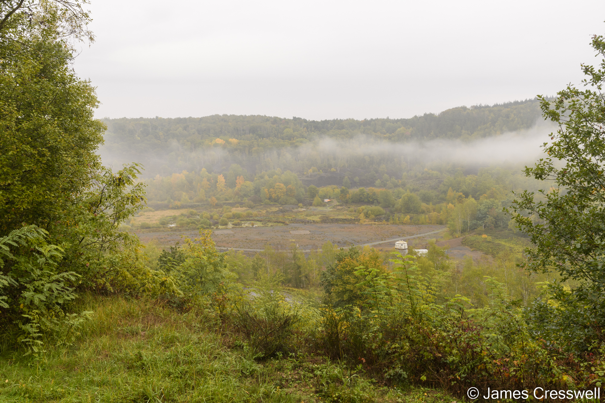 View into a misty, forested pit