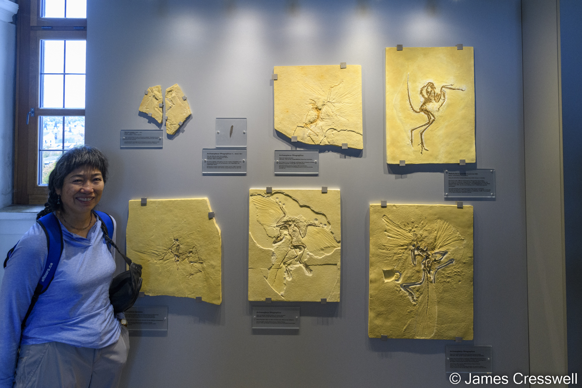 A woman standing next to some fossil specimens on display in a museum