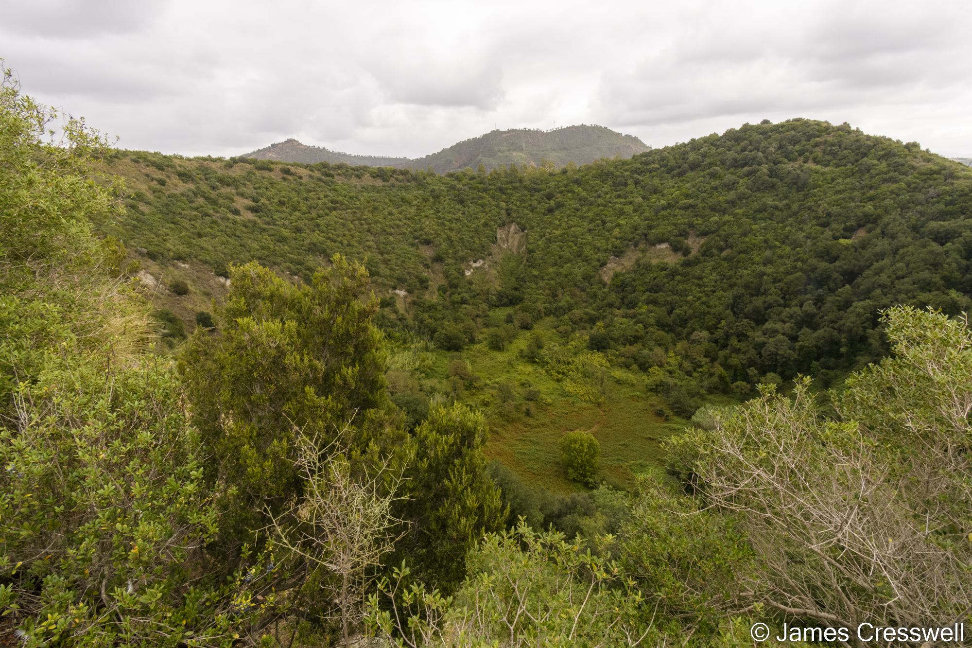 A volcanic crater covered with vegetation