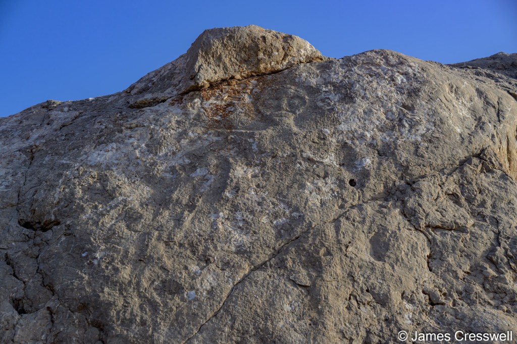 oman016.jpg