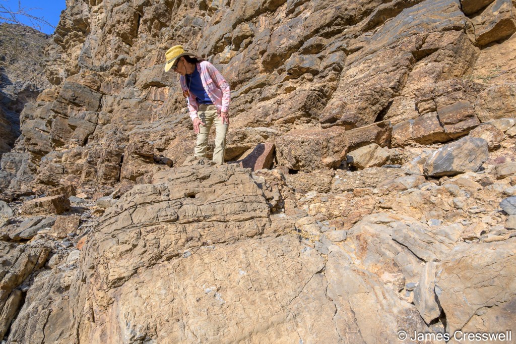 oman3.jpg