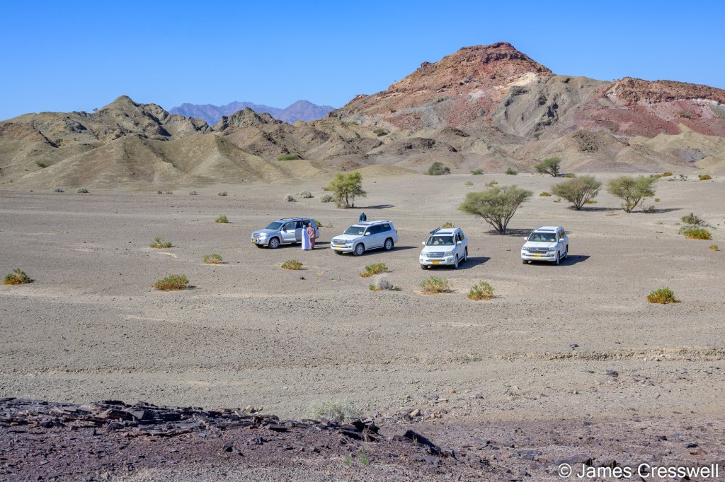 oman5.jpg