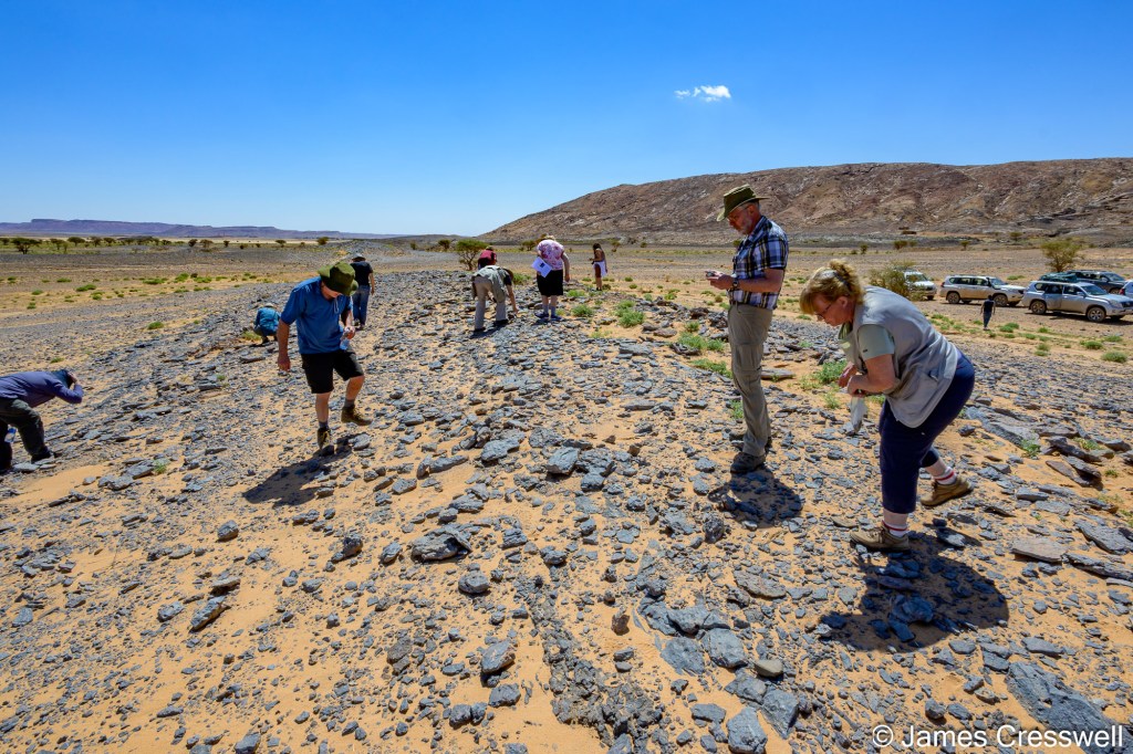 morocco-geoworld-travel-28.jpg