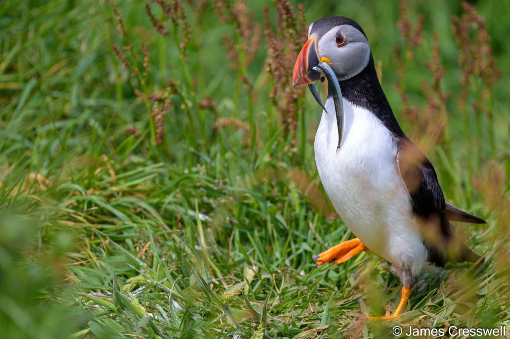 geoworld-travel-scotland-9992.jpg