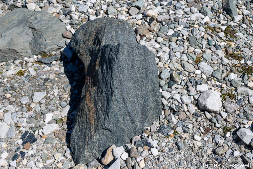 chegwtr26-261.jpg